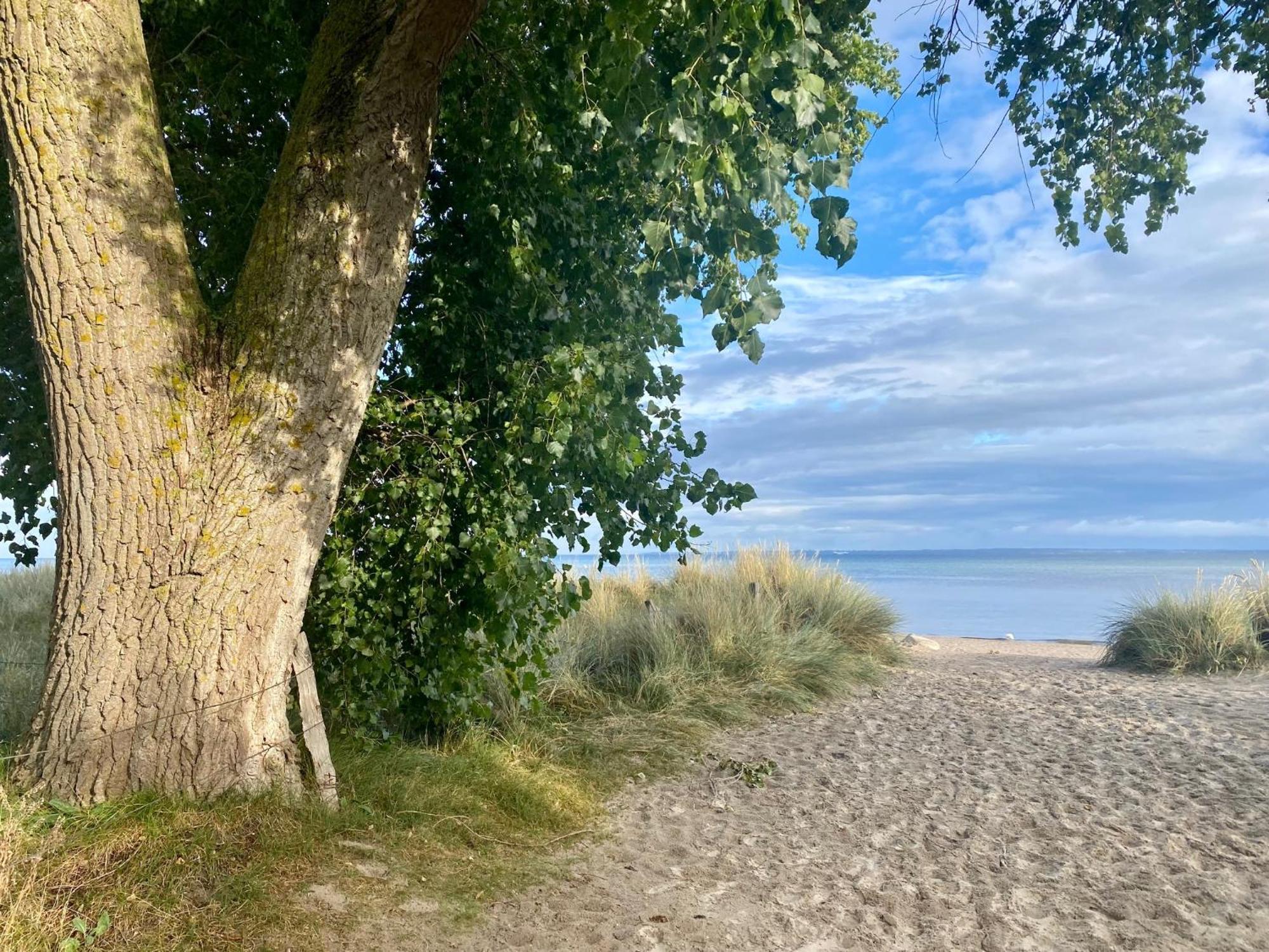 Feriendorf Suedstrand Haus 46 بيلزيرهاكين المظهر الخارجي الصورة